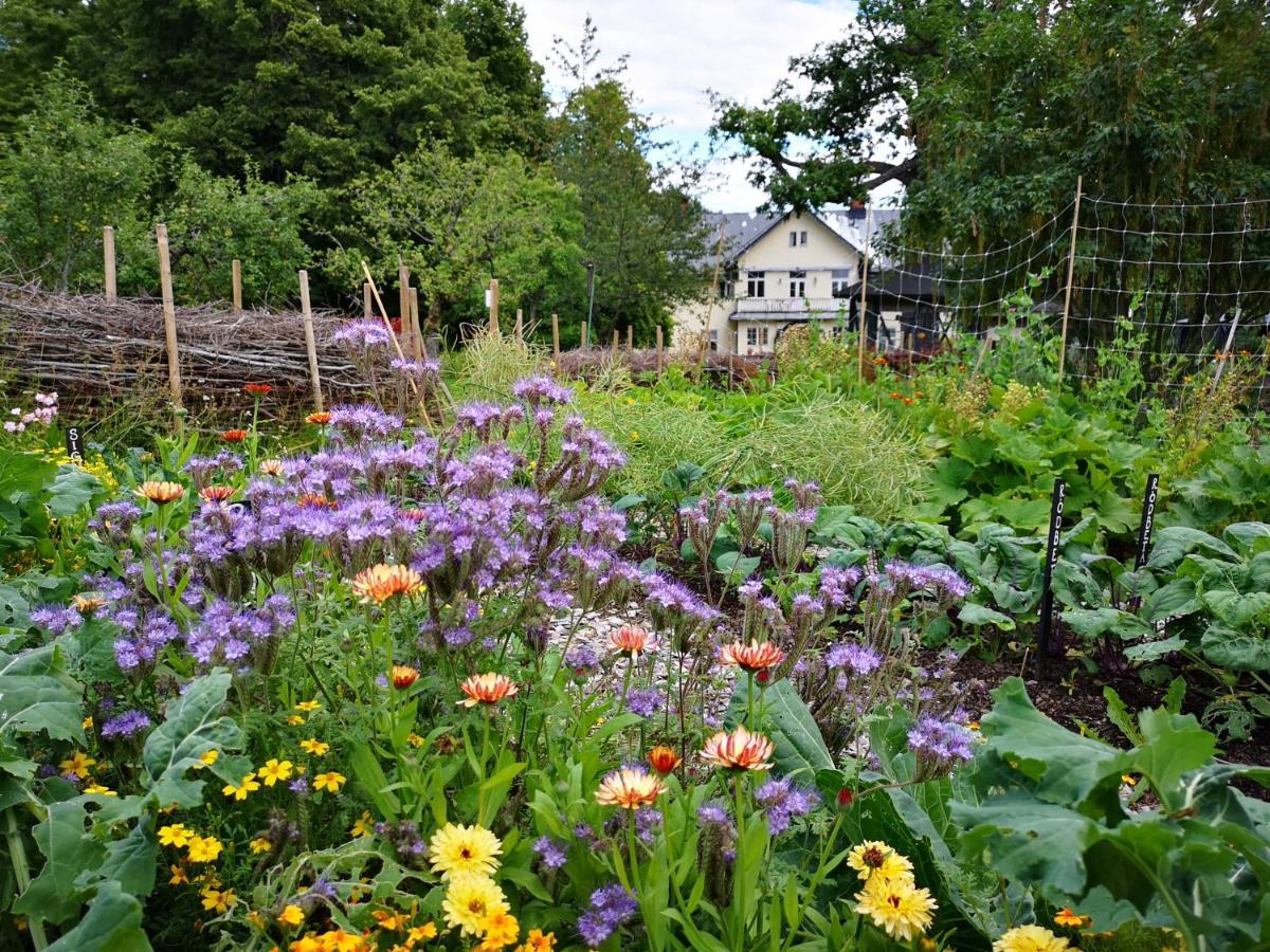 Disponentparken Café och Bed&Breakfast Grängesberg Extérieur photo